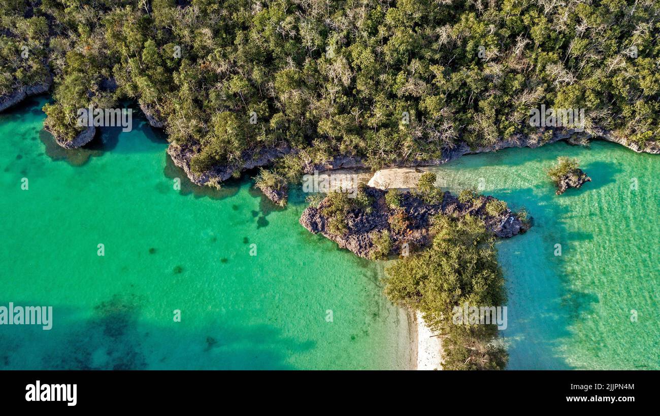 Vista aerea di mangrovie, isola di Baer, isole Kei, provincia di Maluku, Indonesia Foto Stock