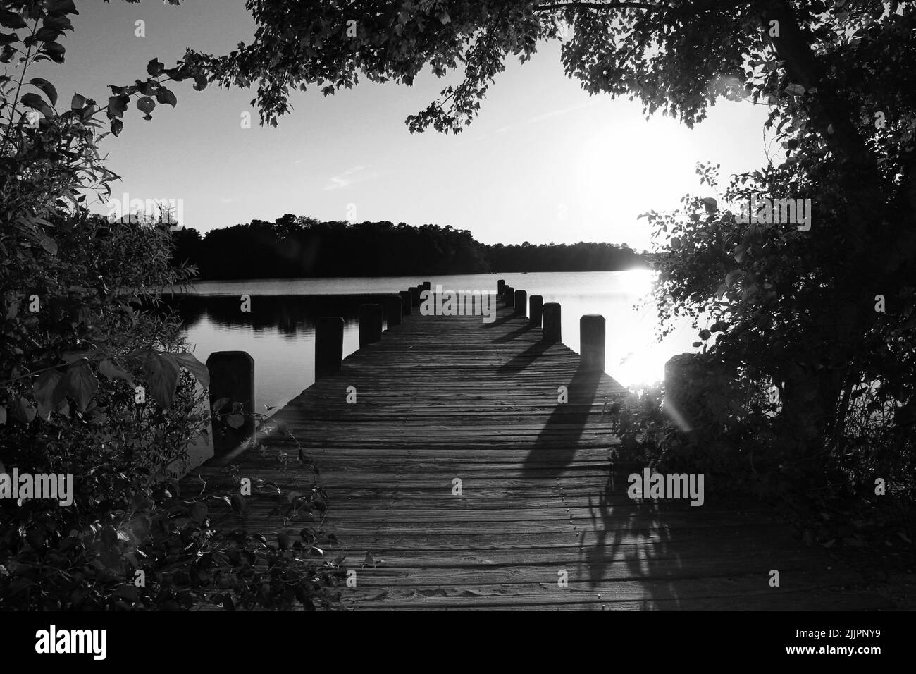 Una scala di grigi di un molo di lago in una giornata di sole Foto Stock