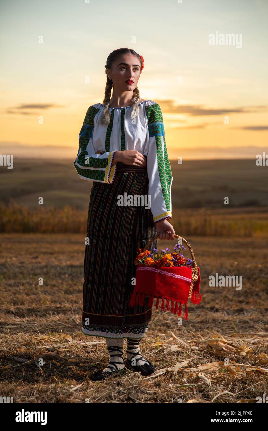 Una giovane donna rumena in costume tradizionale e cesto che si posa sul campo al tramonto panoramico Foto Stock