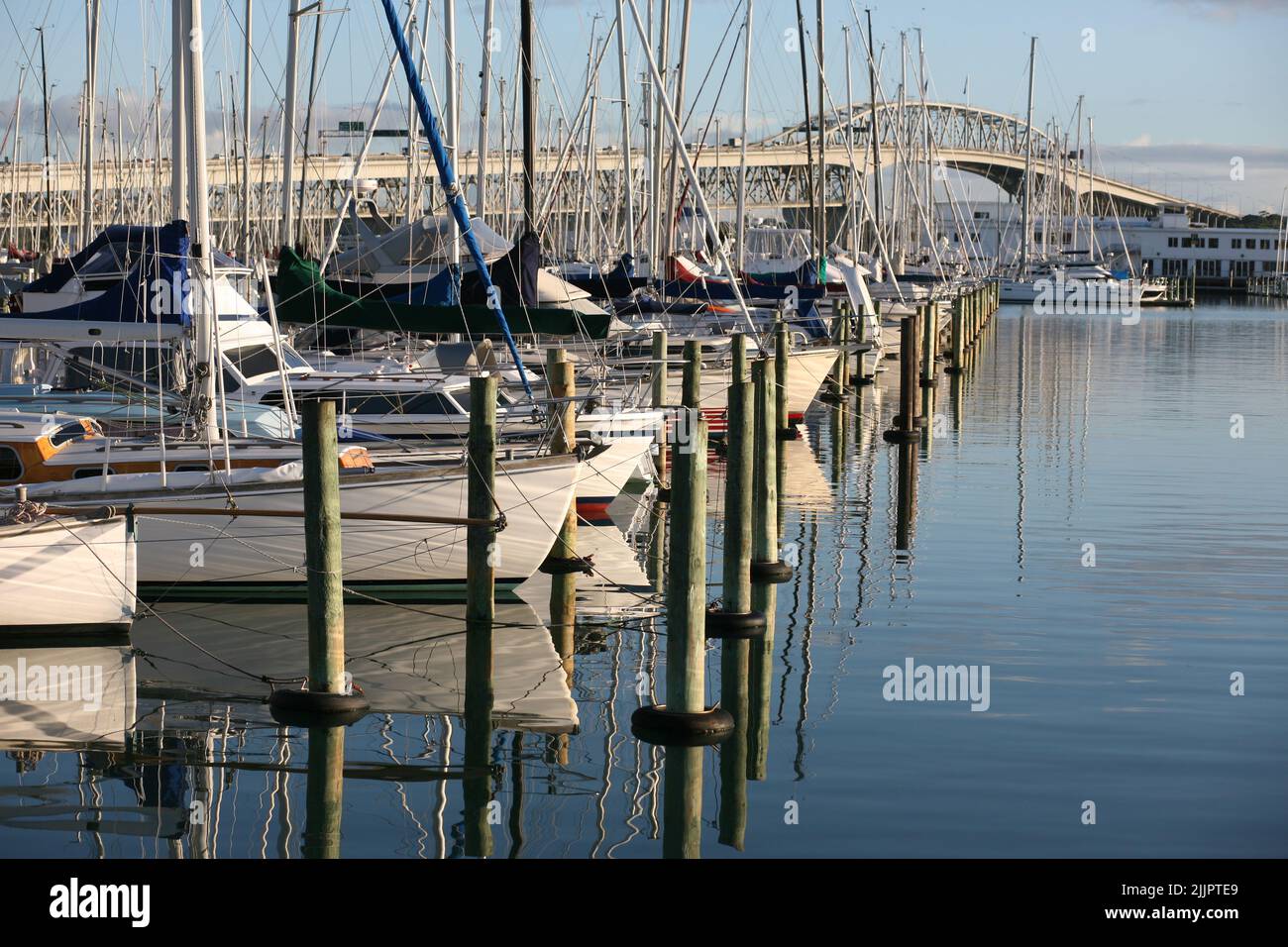 Una fila di barche galleggianti ormeggiate su una costa tranquilla durante l'estate Foto Stock