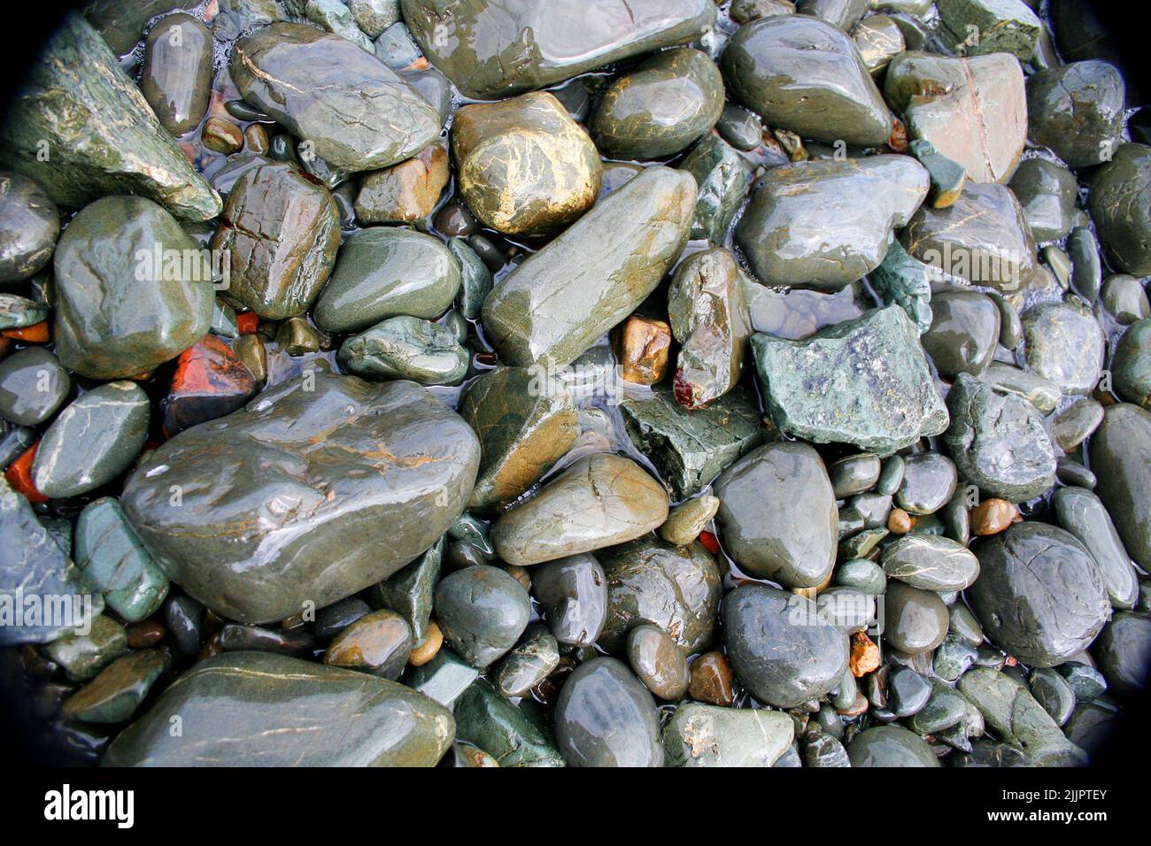 Un primo colpo di pietre bagnate della spiaggia sul terreno Foto Stock