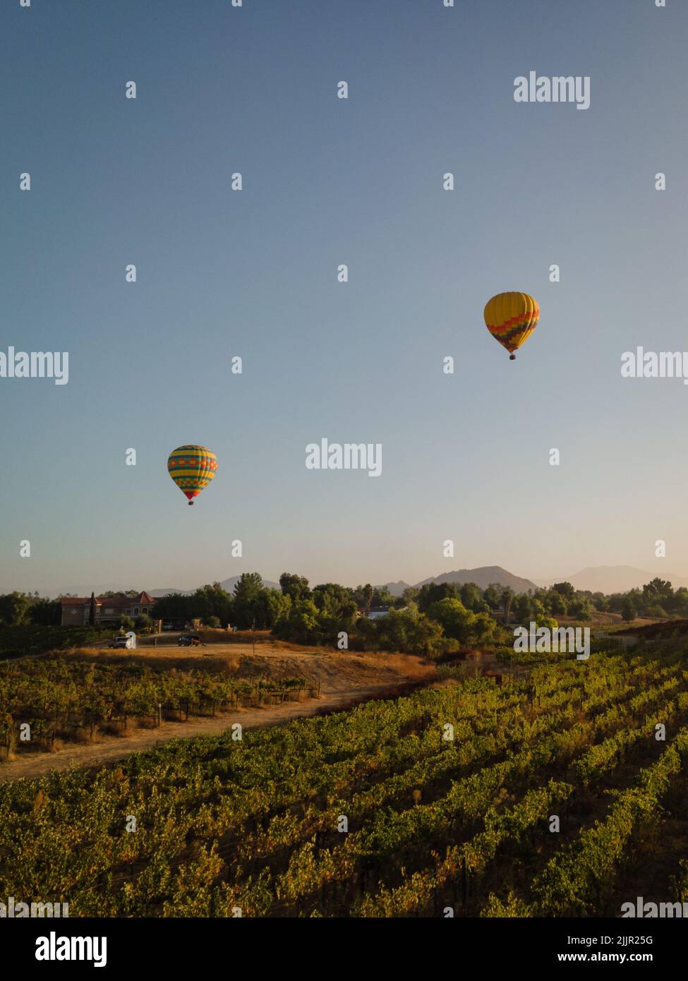 Un colpo verticale di due palloncini ad aria calda che volano sopra i vigneti contro lo sfondo blu cielo chiaro Foto Stock