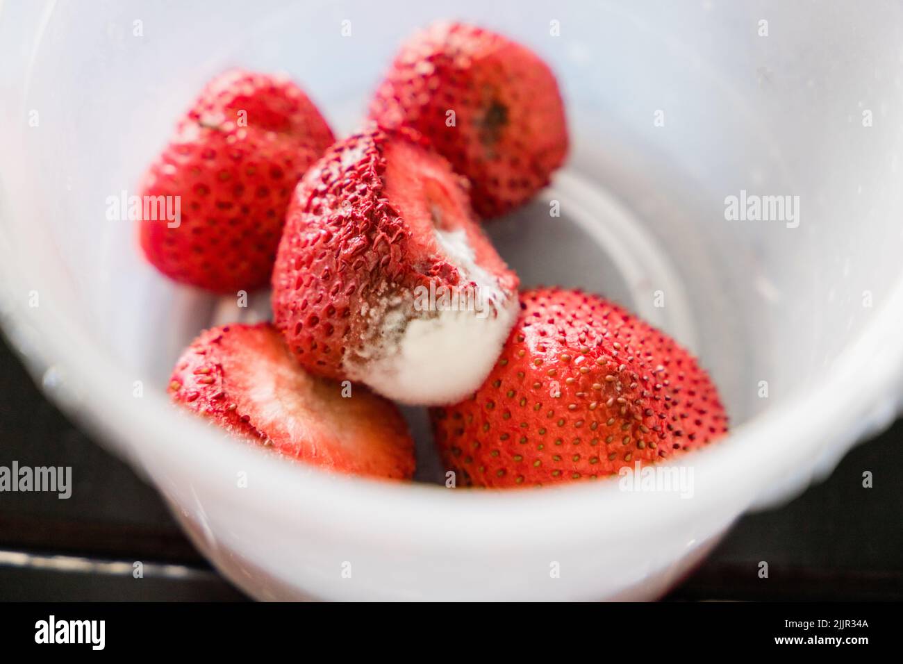 Fragole ammuffite in un contenitore di plastica Foto Stock