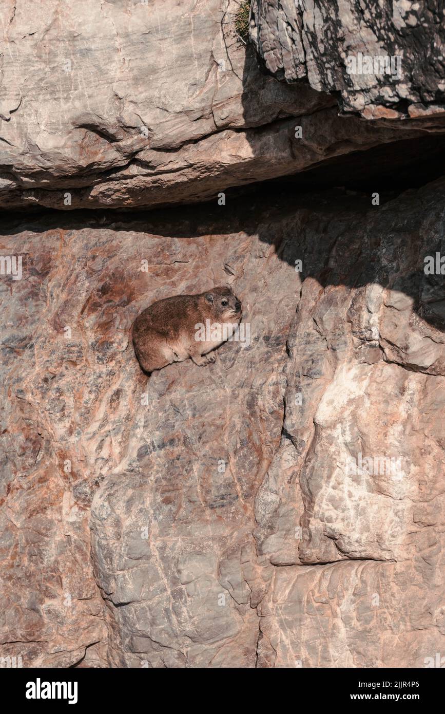 Il diamante del Capo all'interno della grotta in una giornata di sole Foto Stock