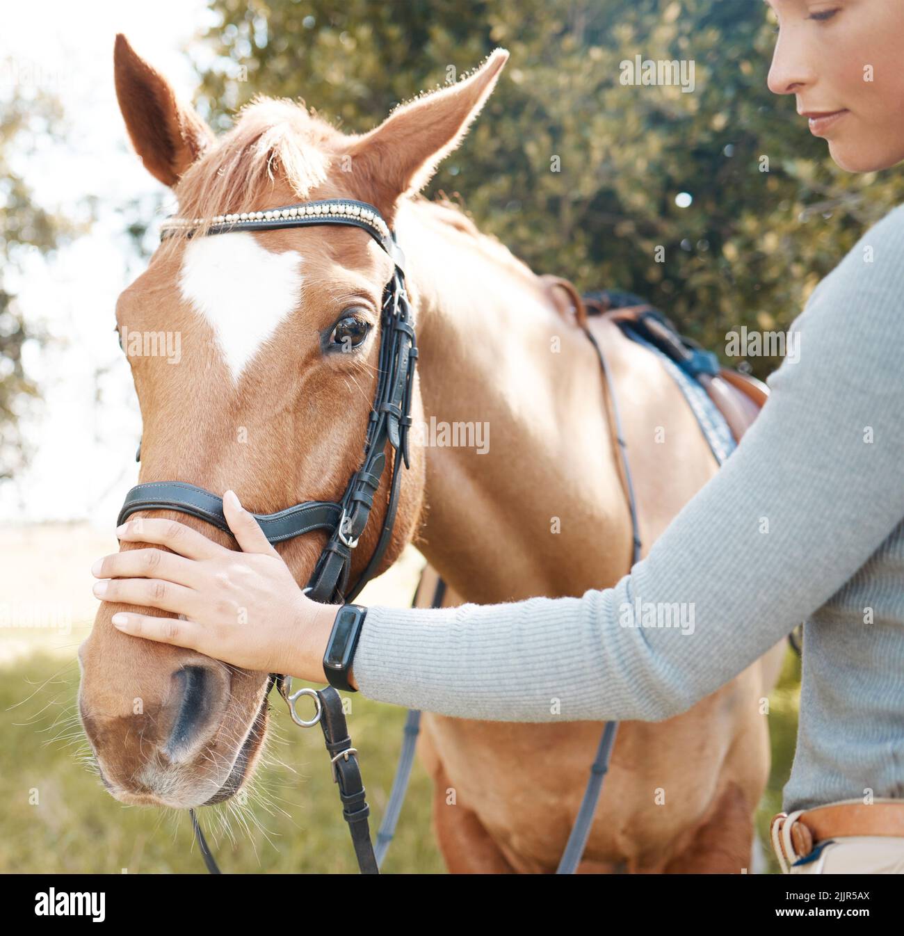 Il cavallo si muoveva come una danzatrice, una giovane donna attraente in piedi con il suo cavallo in una foresta. Foto Stock