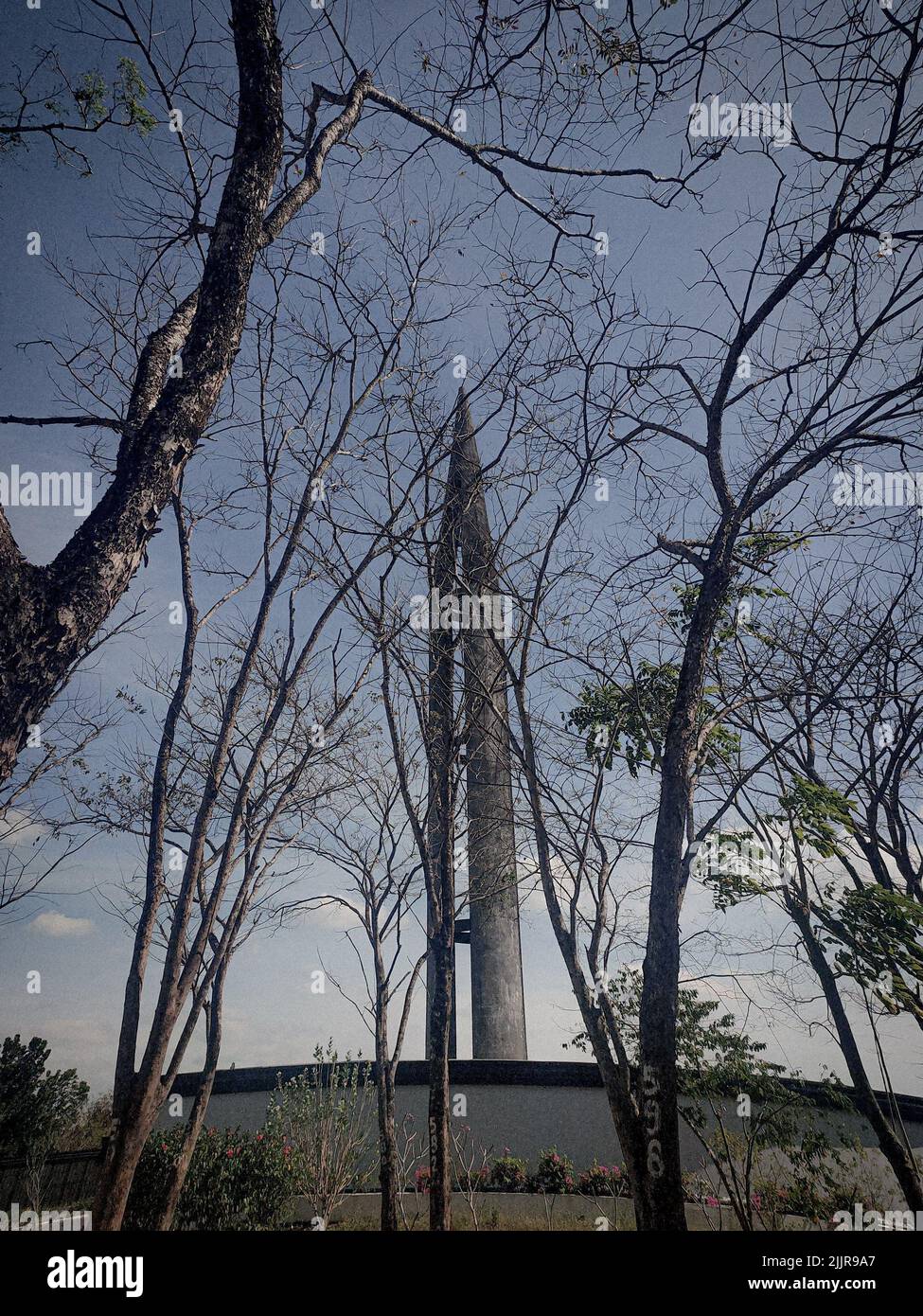 Un colpo verticale degli alberi contro il Santuario Nazionale dei Capas. CAPA, Filippine. Foto Stock