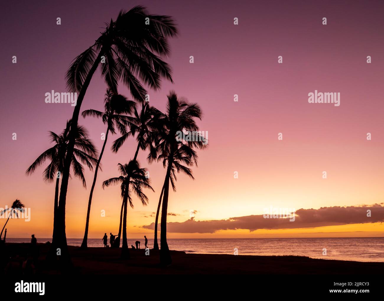 Una vista panoramica della silhouette di palme contro il cielo rosato al tramonto nelle Hawaii, o' ahu West Coast Foto Stock