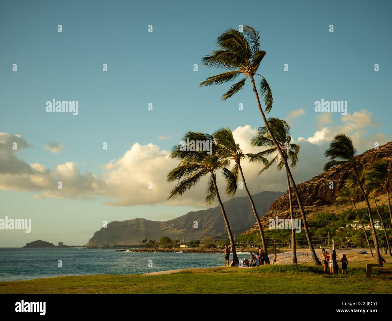 Una vista panoramica delle palme sulla costa dell'oceano durante il giorno alle Hawaii, o' ahu West Coast Foto Stock