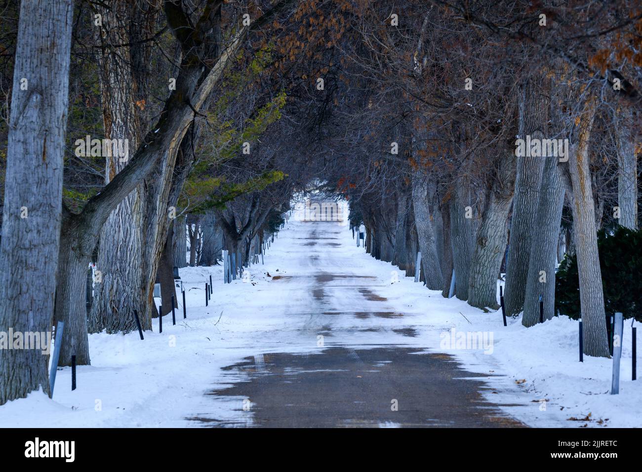 Un sentiero innevato che passa attraverso alberi crudi a Pocatello, Idaho, Stati Uniti Foto Stock