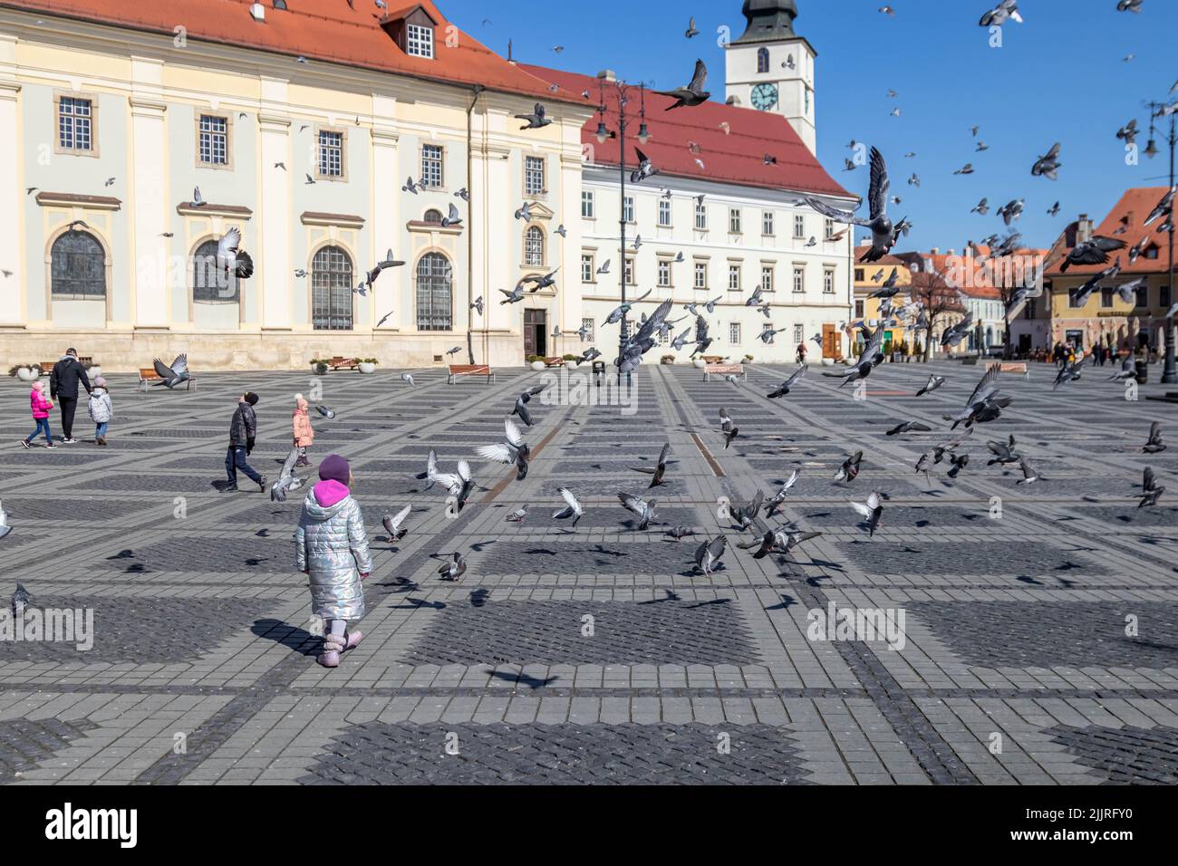 Un gregge grande dei piccioni che volano nel parco in una giornata di sole Foto Stock
