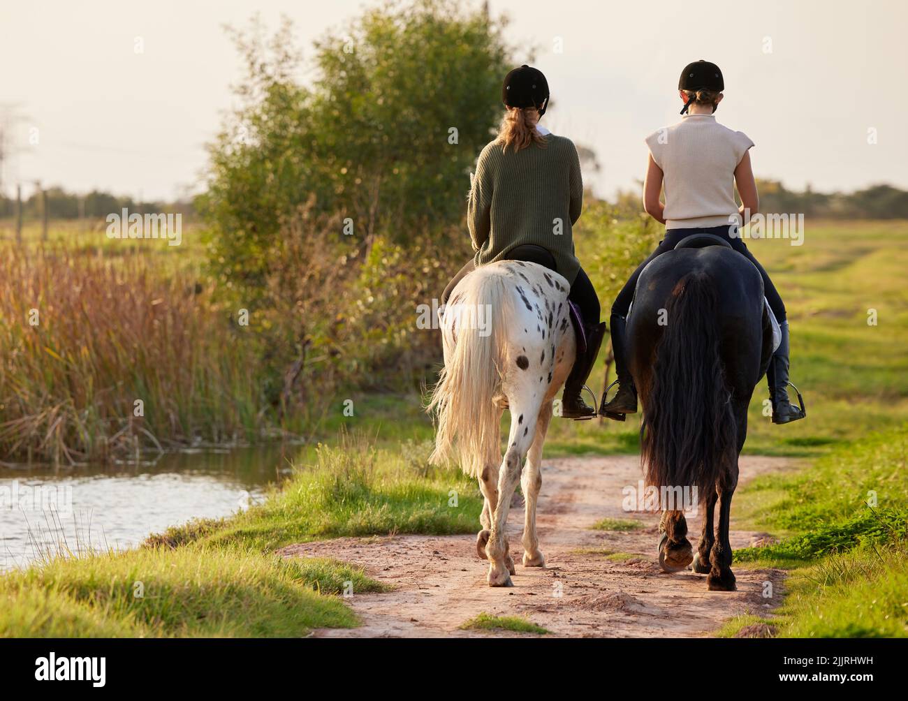 Le parole sono belle come i cavalli selvatici, due donne irriconoscibili che cavalcano i loro cavalli fuori su un campo. Foto Stock