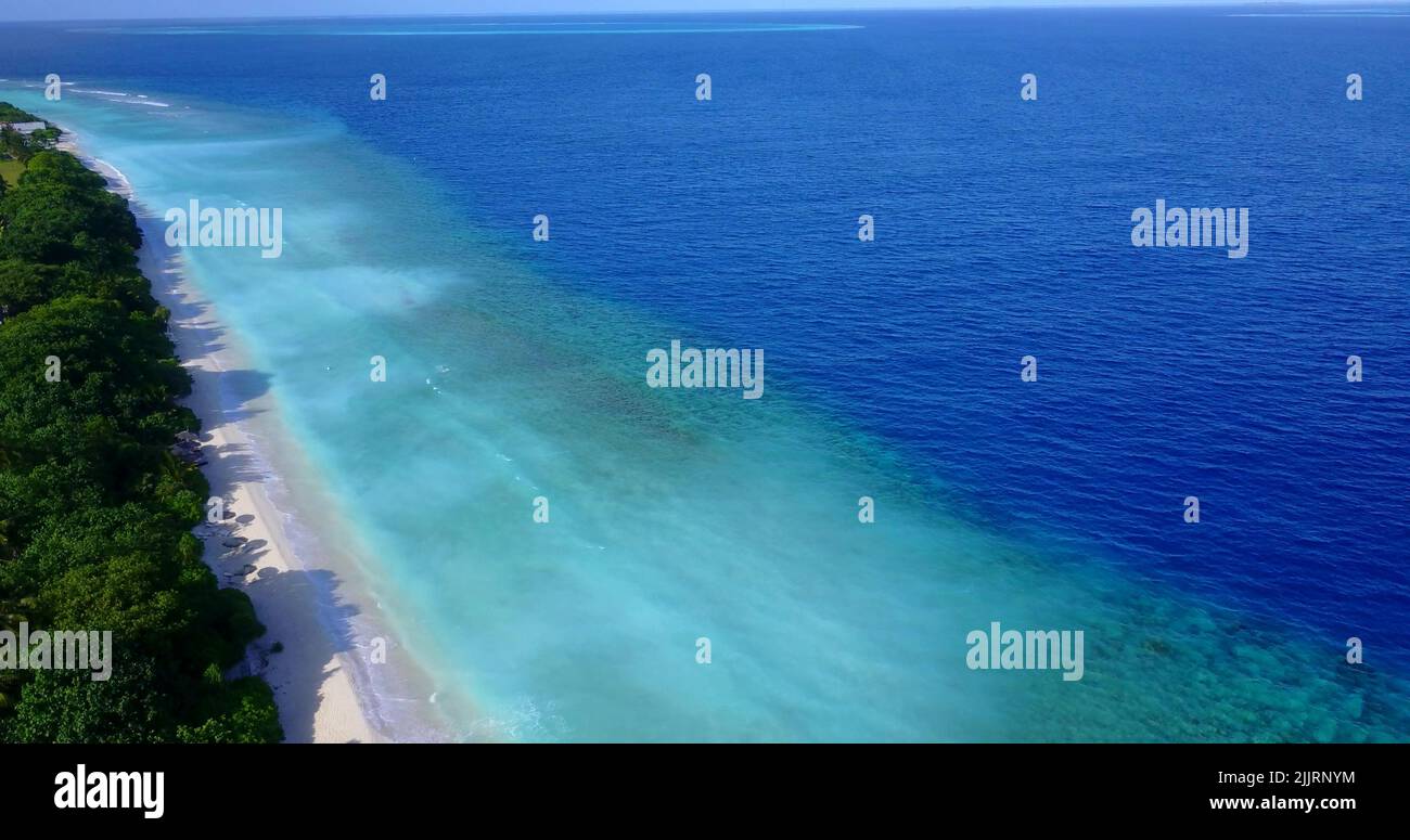 Una vista aerea di alberi verdi su una spiaggia sabbiosa vicino all'oceano in una giornata di sole Foto Stock