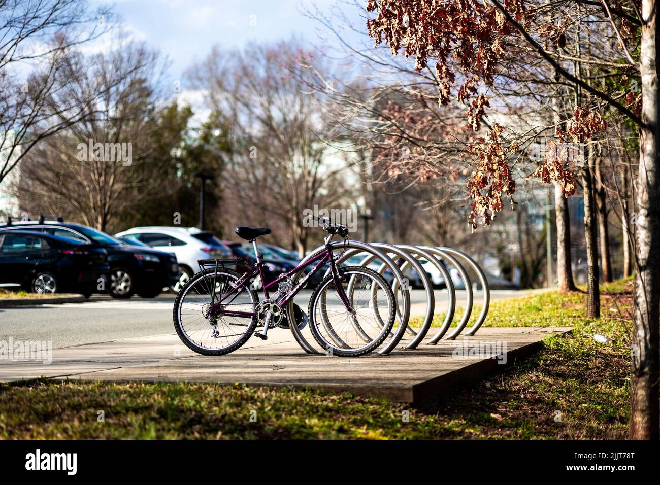 Biciclette su un bel portabiciclette con alberi e erba Foto Stock