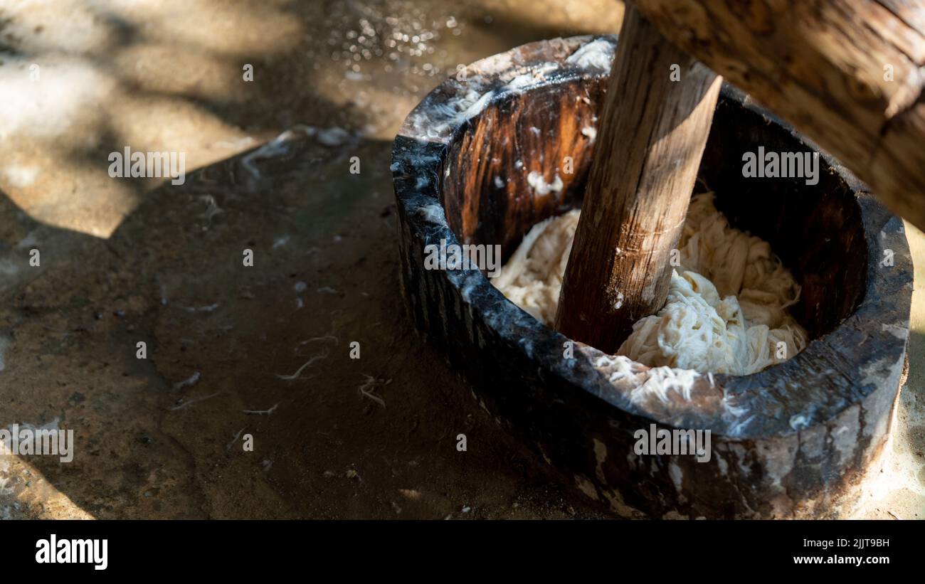 Una vista dall'alto del processo di triturazione di una corteccia di gelso imbevuta in un vaso di legno, facendo una carta di saa Foto Stock