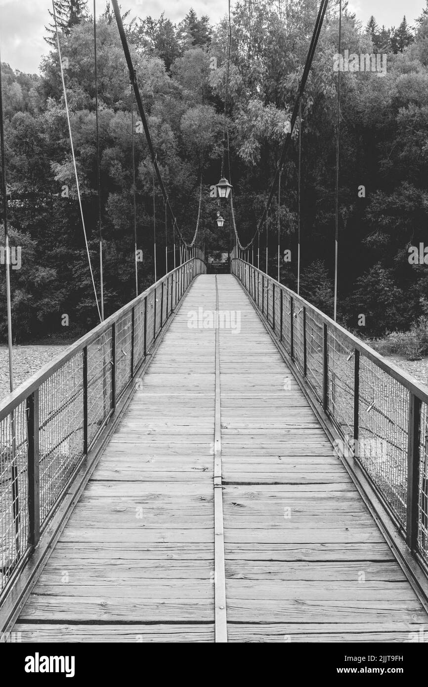 Un colpo verticale di un ponte di legno in una foresta circondata dalla natura selvaggia Foto Stock