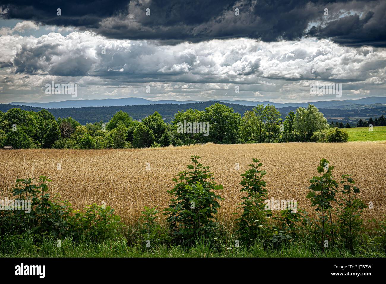 Vista delle montagne di Beskids basso dal villaggio vicino a Gorlice. Il temporale nuvole sopra i campi di grano. Foto Stock