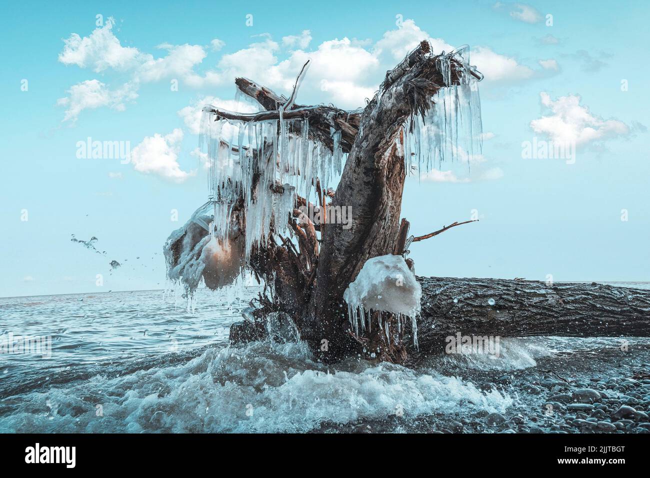 Un albero posato con legno di driftwood con ghiacciai in acqua sotto un cielo blu Foto Stock