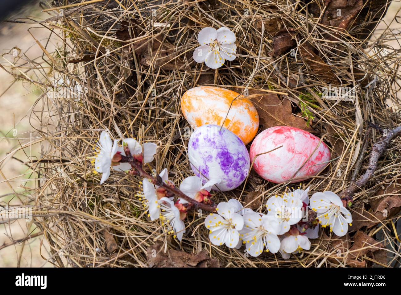 Un primo piano di colorate uova di Pasqua e fiori sull'erba in un campo Foto Stock