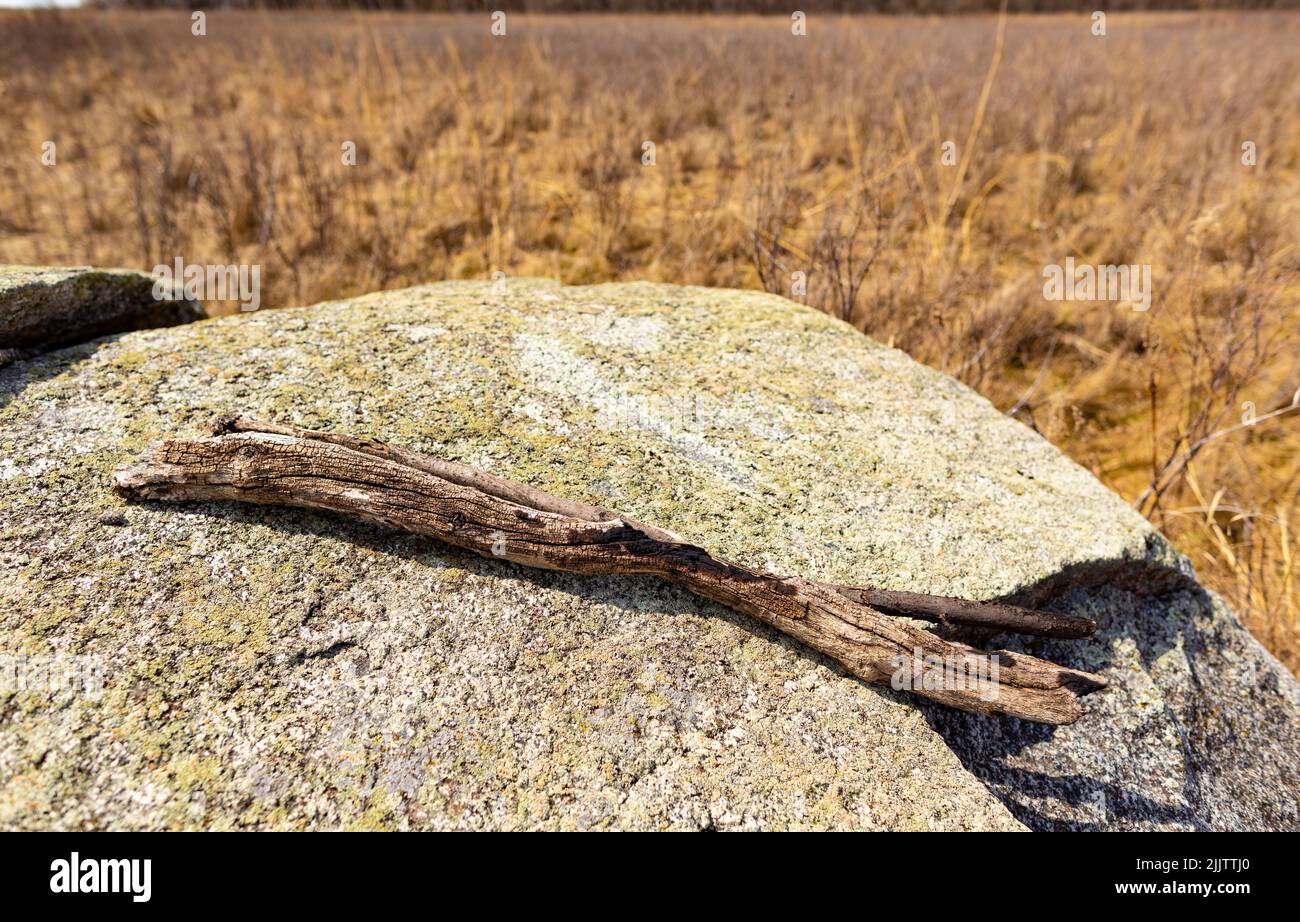 Buffalo River state Park, Minnesota, Stati Uniti, Nord America. Foto Stock