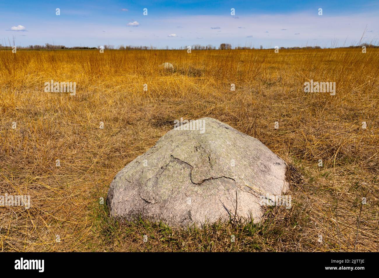 Buffalo River state Park, Minnesota, Stati Uniti, Nord America. Foto Stock