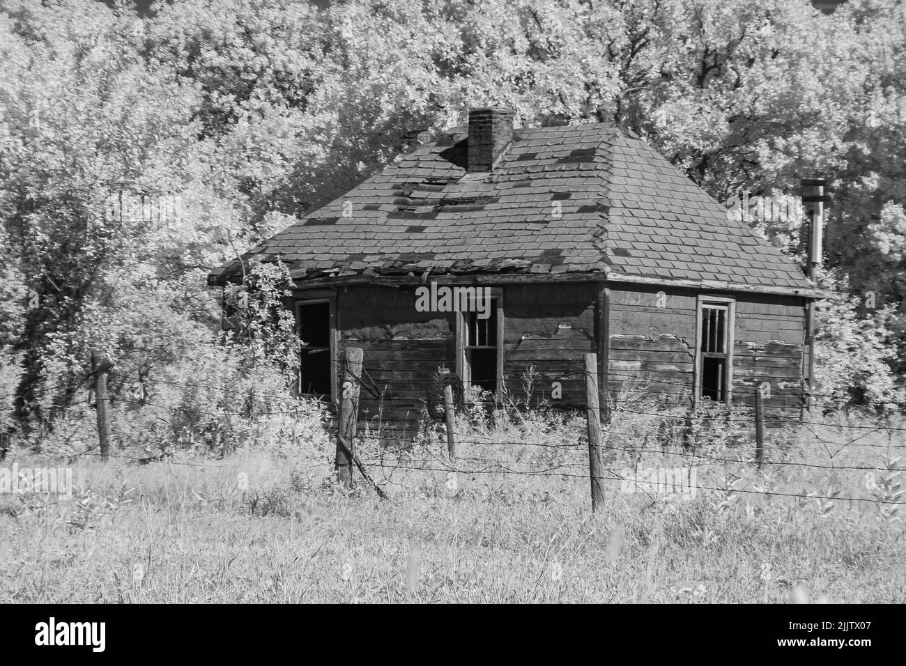 Un casale in legno in un campo tra alberi in bianco e nero. Manitoba, Canada Foto Stock