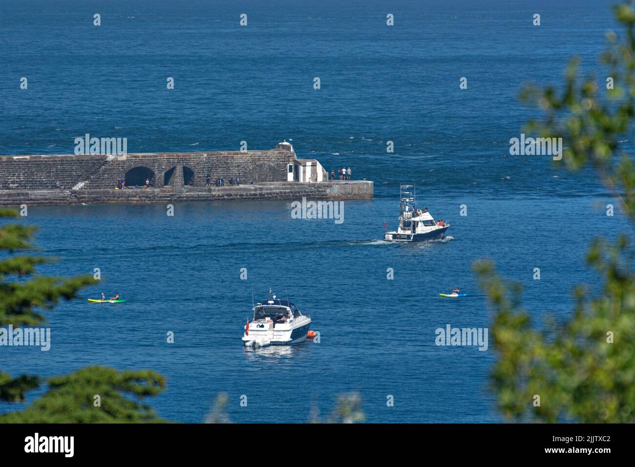 Un peer attraverso le cime degli alberi alla fine del breakwater di Alderney 3.000ft con le barche che lasciano l'isola e la gente che gode il sole. Foto Stock