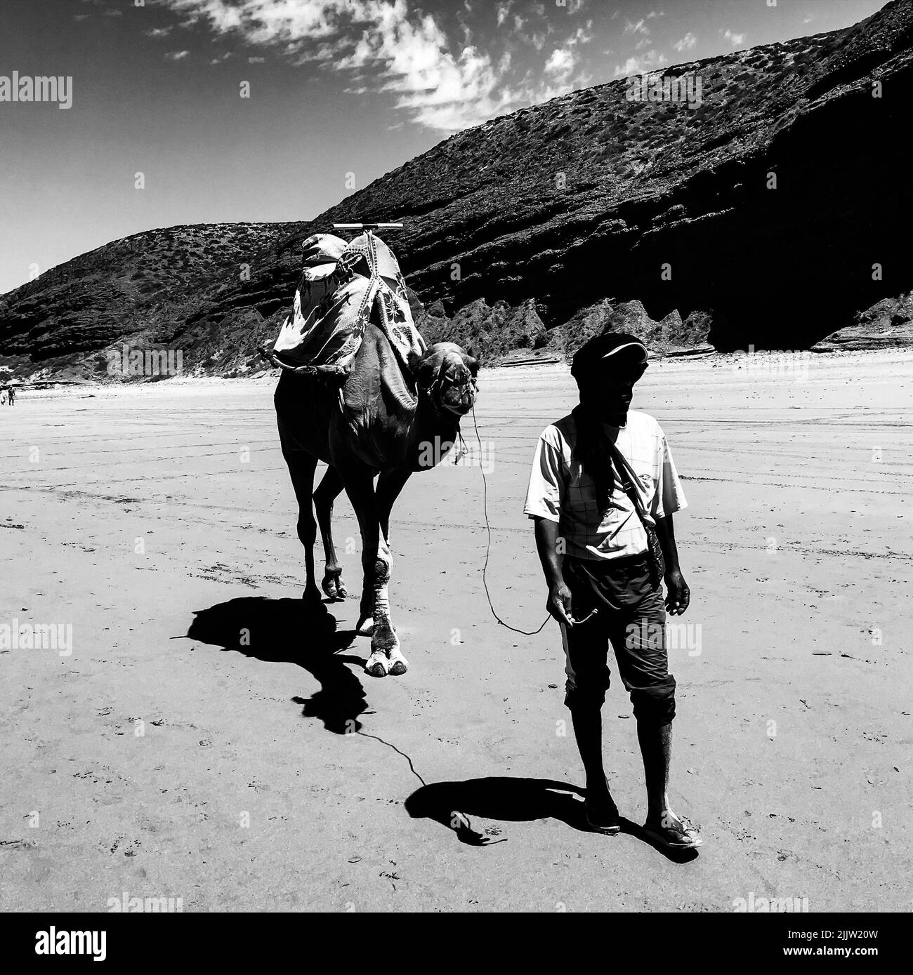 Una foto in scala di grigi di un maschio con il suo cammello sulla spiaggia di Agadir Foto Stock