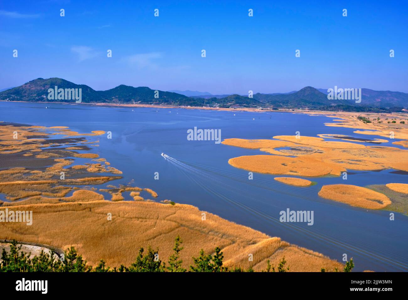 Corea del Sud, Provincia di Jeolla del Sud, Suncheon, Baia di Suncheon, zona umida protetta Foto Stock
