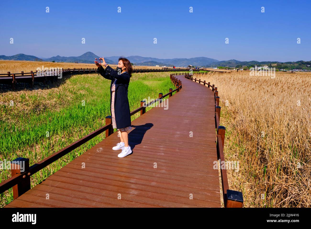 Corea del Sud, Provincia di Jeolla del Sud, Suncheon, Baia di Suncheon, zona umida protetta Foto Stock