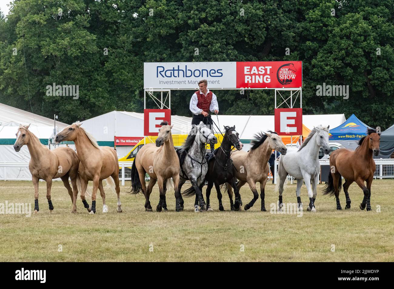 Atkinson Action Horses al New Forest and Hampshire County Show nel luglio 2022, Inghilterra, Regno Unito. Ben Atkinson in sella a una squadra di cavalli Foto Stock