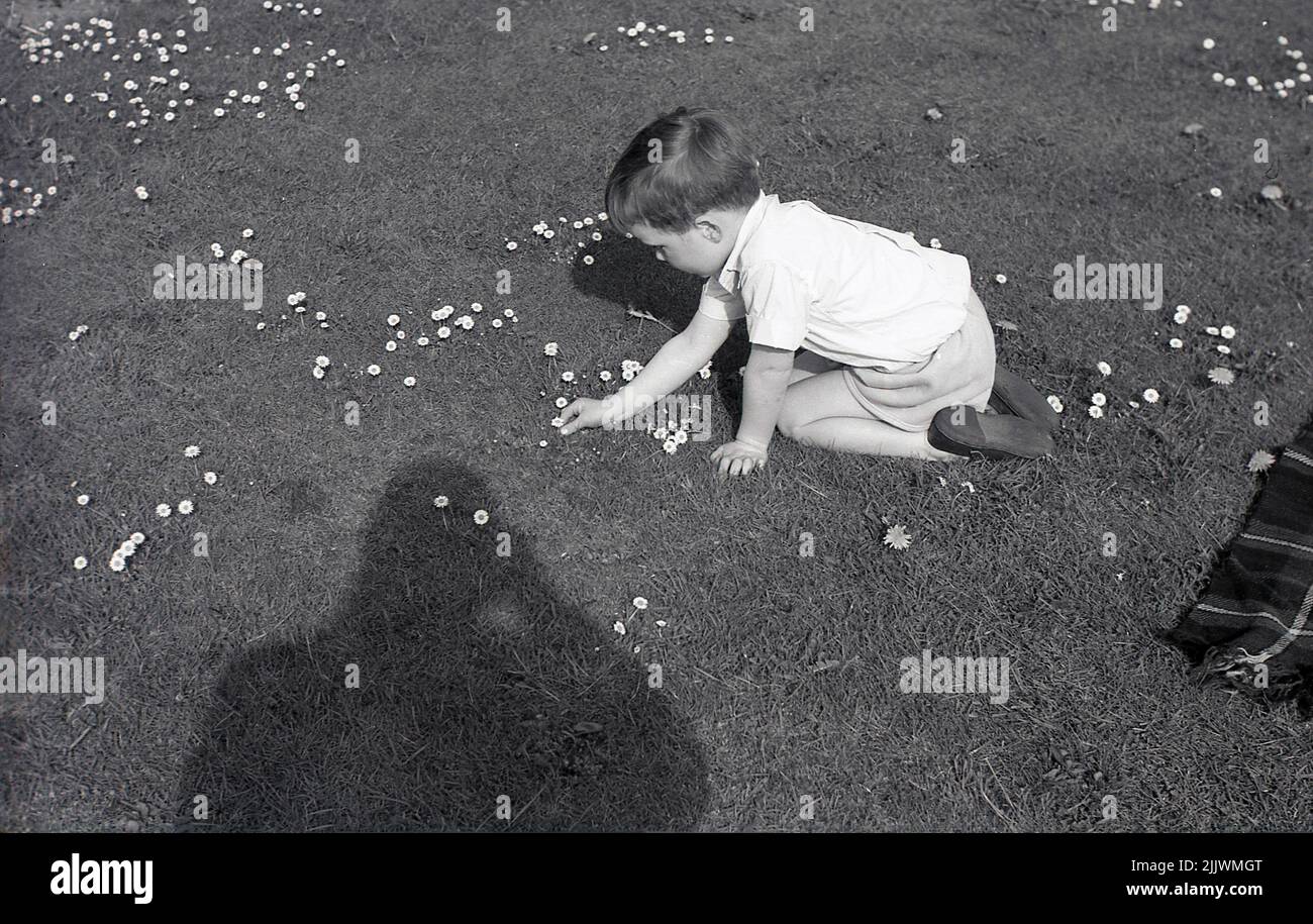 1960s, storico, primaverile ed esterno su un campo, un ragazzo giovane, inginocchiandosi sulle mani e le ginocchia su un campo di erba, raccogliendo i petali margherita dai fiori, Inghilterra, Regno Unito. Un fiore di nascita di aprile, le margherite si dice simboleggiano l'innocenza e la speranza. In Gran Bretagna, il fiore è noto come la margherita comune o laio. Foto Stock