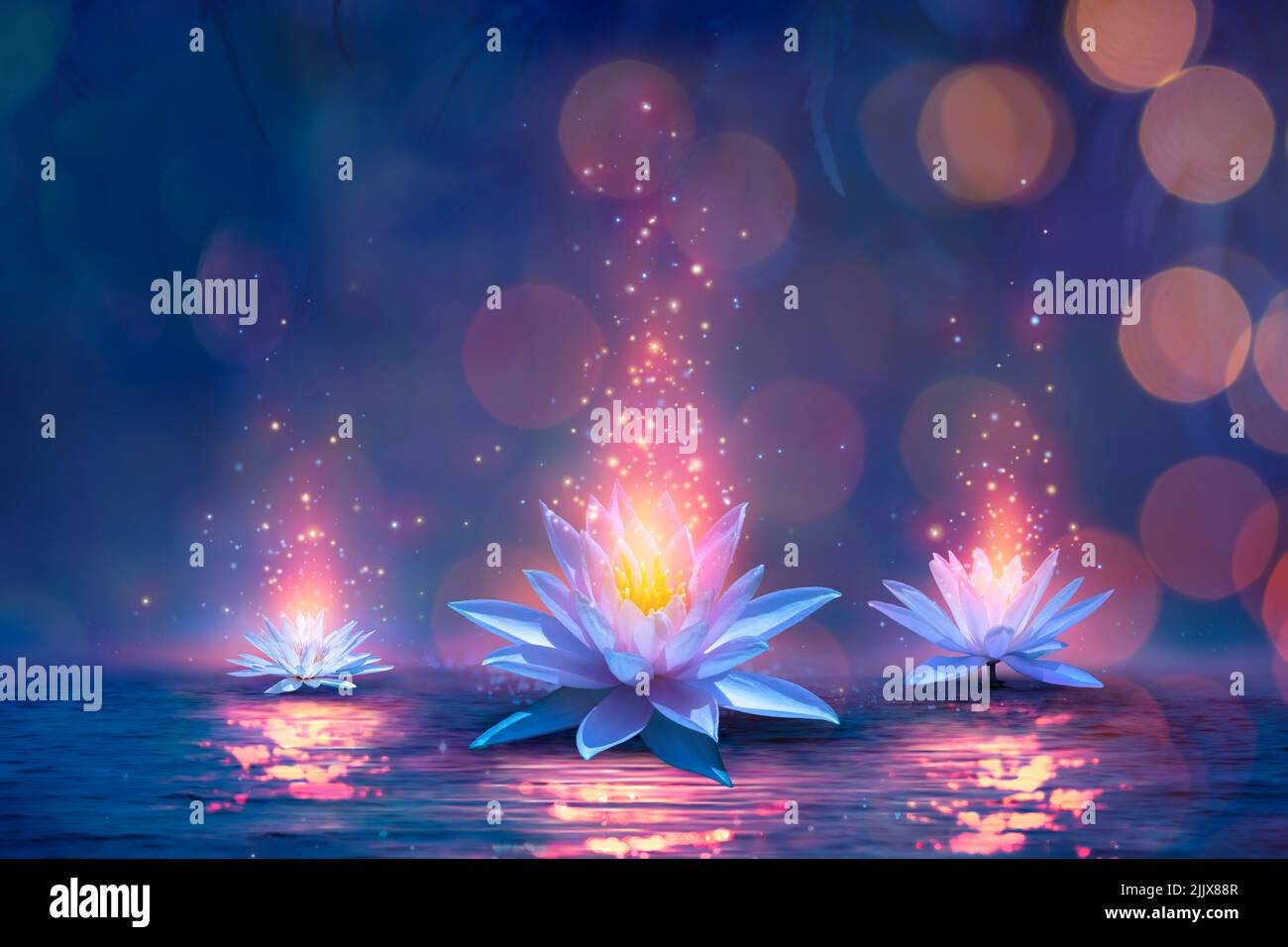 Magic Lotus Flower on Water - Miracle Concept - Ninfee in sfondo sfocato Foto Stock