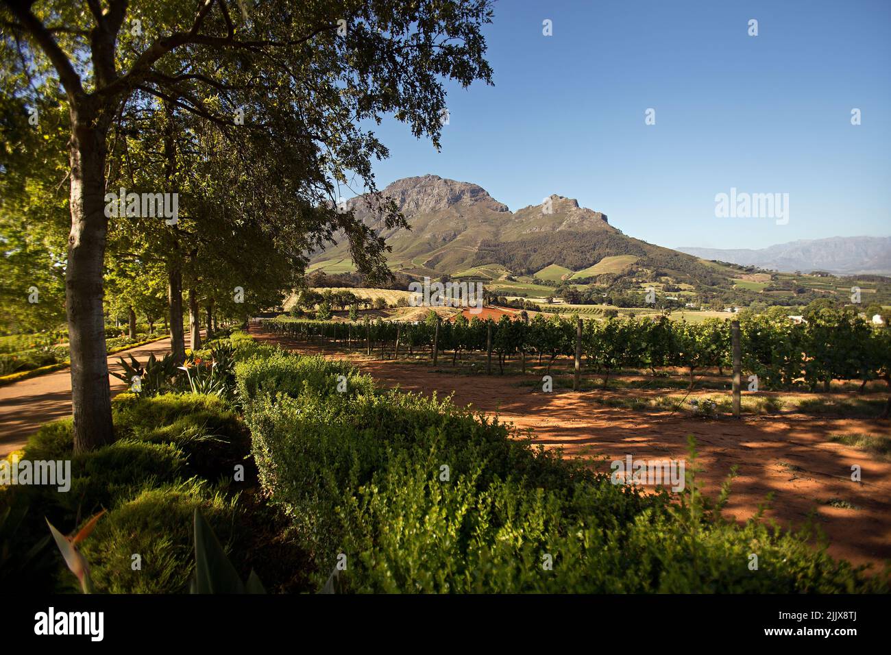 Delaire-Graff Estate, Stellenbosch, Sud Africa Foto Stock