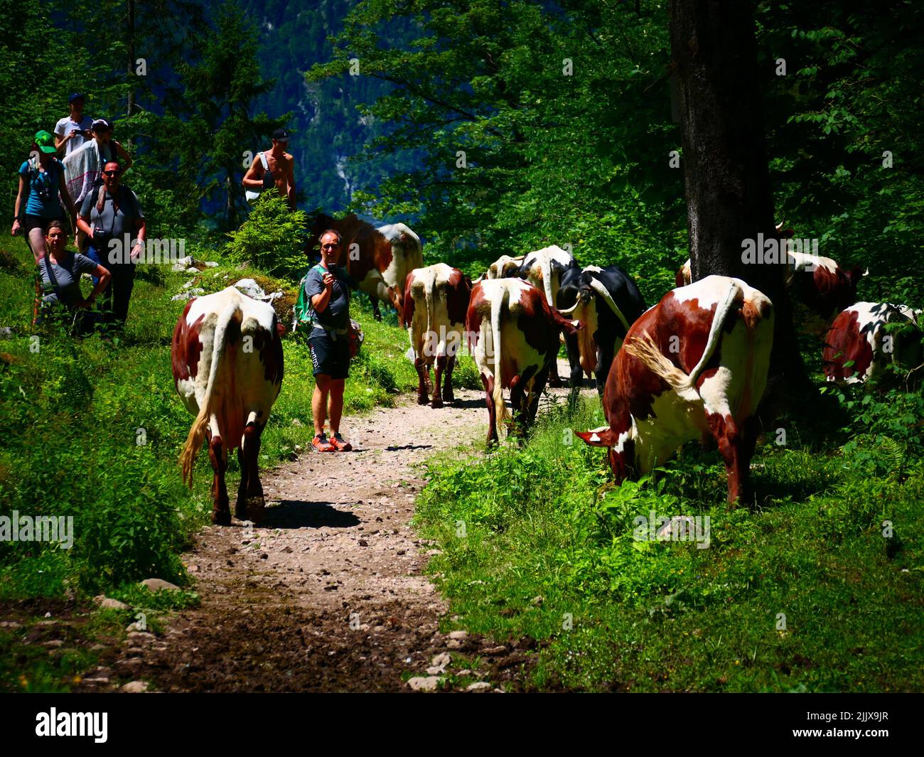 Turisti che fanno foto, Parco Nazionale Berchtesgaden, Baviera, le Alpi, Germania Foto Stock