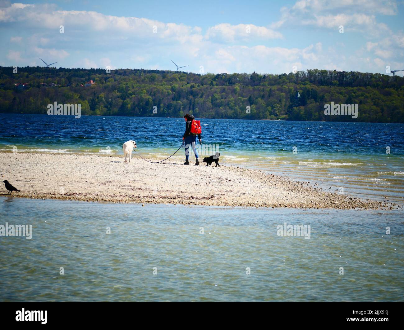 Attività ricreative, lago Starnbergersee Starnberg, Baviera, Germania Foto Stock