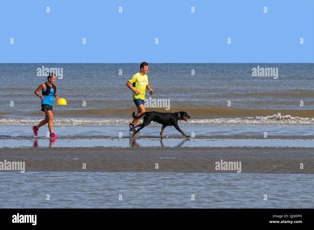 Jogger maschile e femminile che corre su spiaggia sabbiosa con unleashed / off piombo cane lungo la costa del Mare del Nord in estate Foto Stock