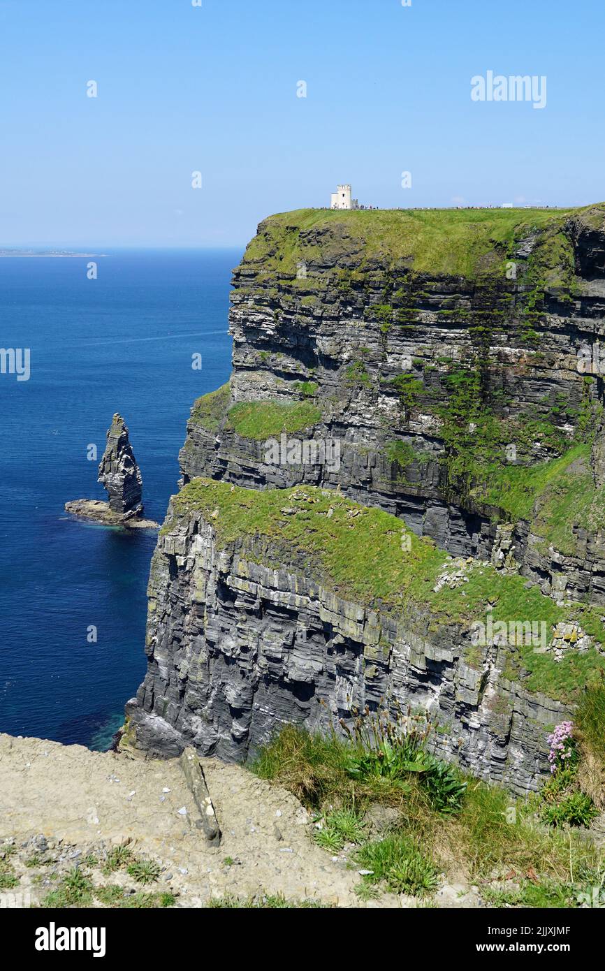 Scogliere di Moher, Aillte An Mhothair, Clare County Council, Irlanda, Éire, Irland, Írország, Europa, Moher-sziklák Foto Stock