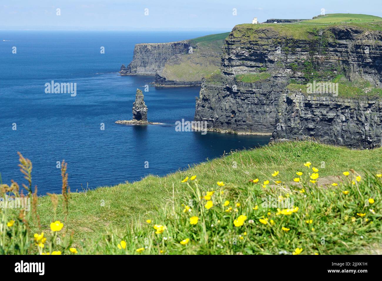 Scogliere di Moher, Aillte An Mhothair, Clare County Council, Irlanda, Éire, Irland, Írország, Europa, Moher-sziklák Foto Stock