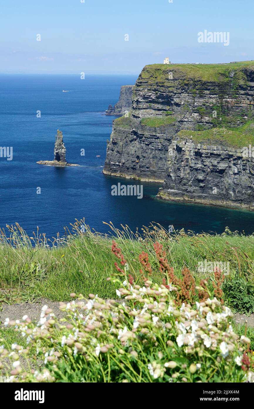 Scogliere di Moher, Aillte An Mhothair, Clare County Council, Irlanda, Éire, Irland, Írország, Europa, Moher-sziklák Foto Stock