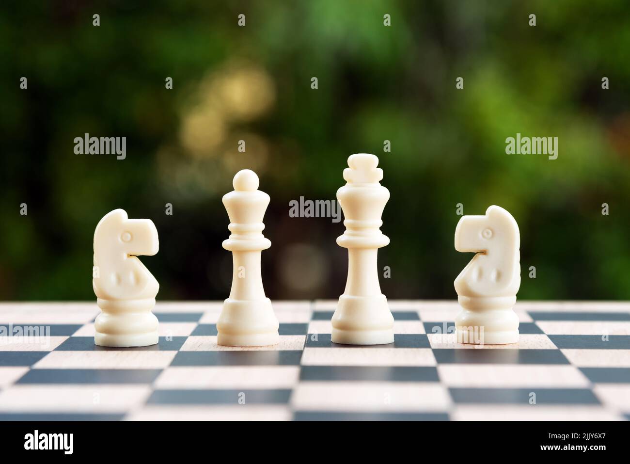 4 scacchi bianchi su scacchiera. Foto Stock