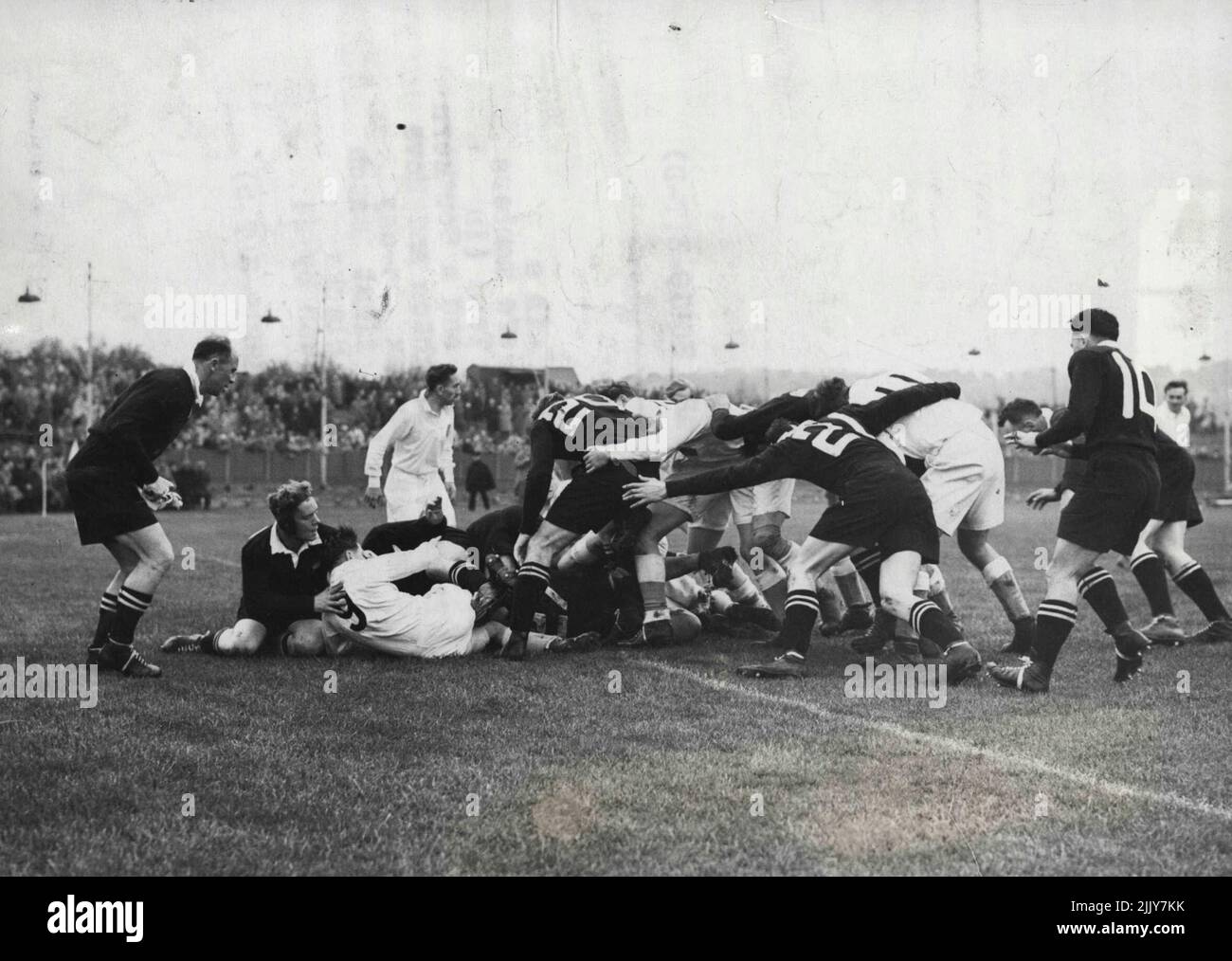 Scrambling in Uno scramum -- tutti accoccolati insieme in una mischia ruvida e tumble sono membri della squadra di rugby di tutti i neri (in camicie scure e shorts) e una quindici contee meridionali a Brighton and Hove Stadium, Brighton, Sussex, al giorno (Sabato). Fu la prima partita del tour All Blacks 1953-4 della Nuova Zelanda, che vinse da 24 punti a zero. Ottobre 31, 1953. (Foto di Reuterphoto). Foto Stock