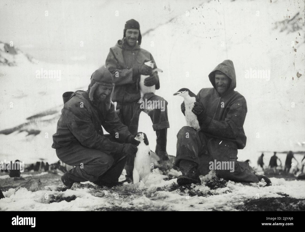 Prima Foto Wilkins-Hearst spedizione Antartica -- Lt. Carl ben Eielson, destra, e altri membri della spedizione polare meridionale di Wilkins-Hearst avendo un piccolo partito di animali domestici con alcuni dei pinguini a ingannare l'isola, ma i pinguini non sembravano goderlo. Marzo 14, 1929. Foto Stock