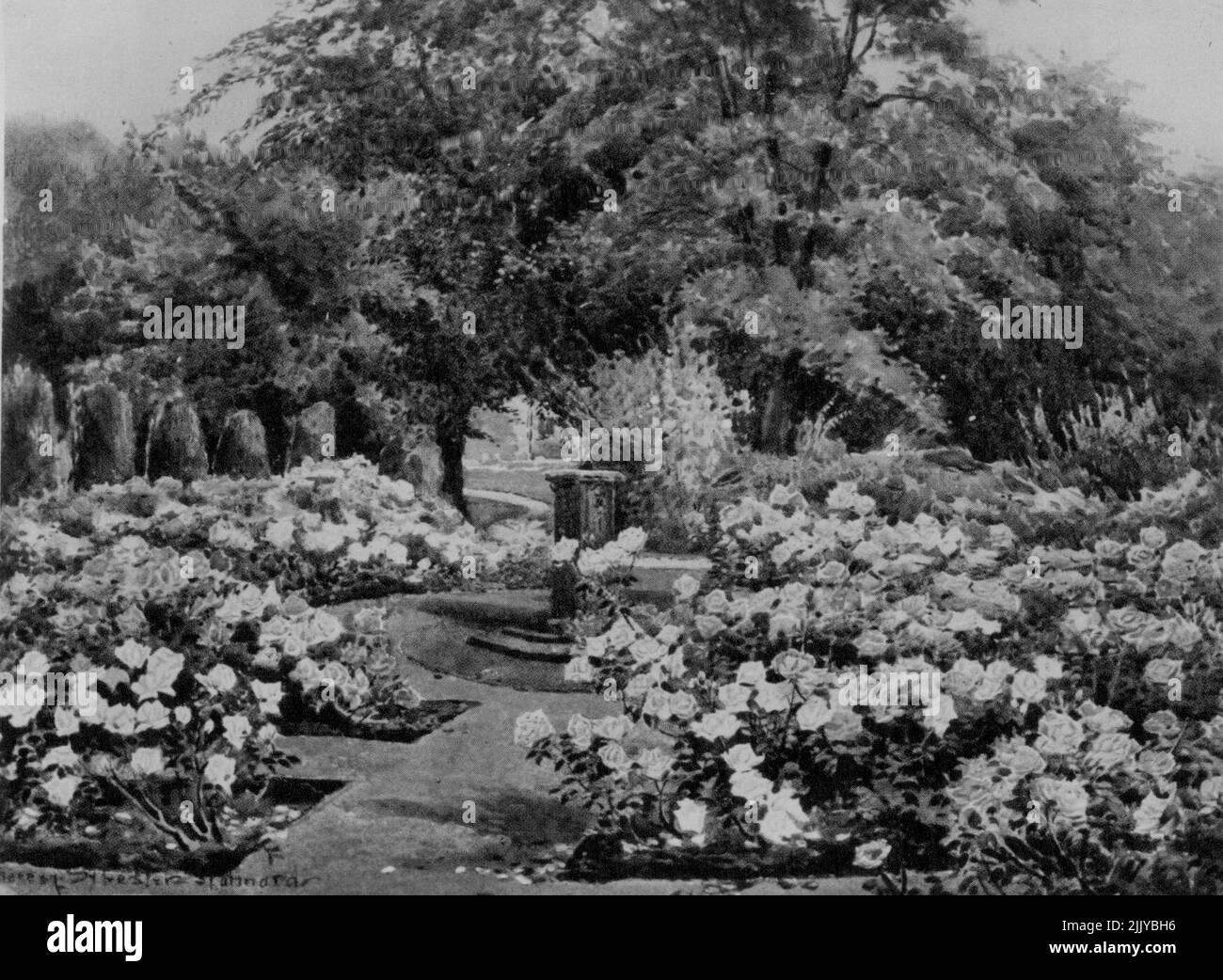 Il Giardino delle Rose la carta di Natale della Regina Maria. Dicembre 20, 1938. Foto Stock