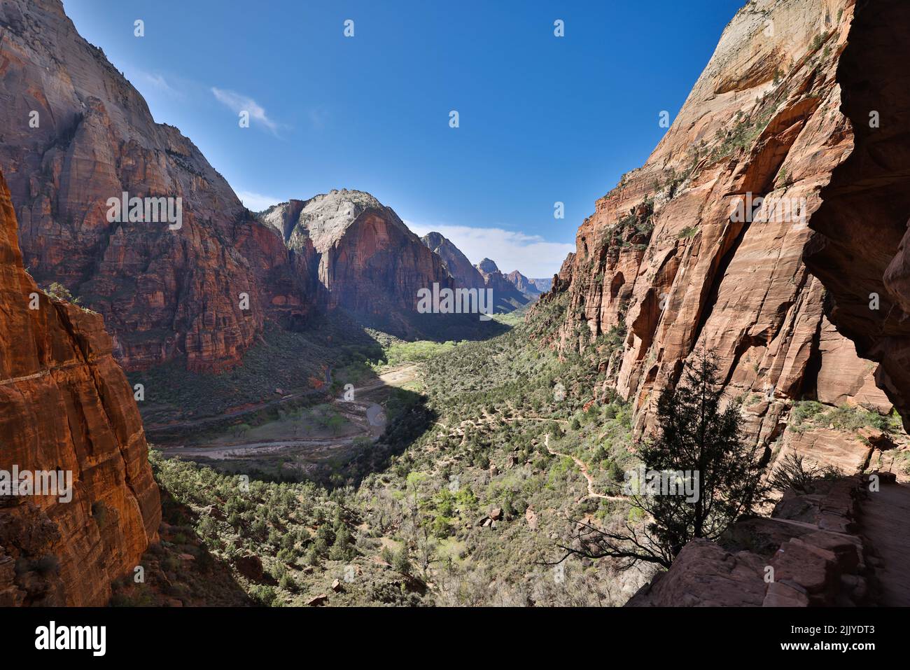 The Angels Landing Trail, splendida vista sul canyon del fiume Virgin, Zion National Park, Utah, USA. Foto Stock