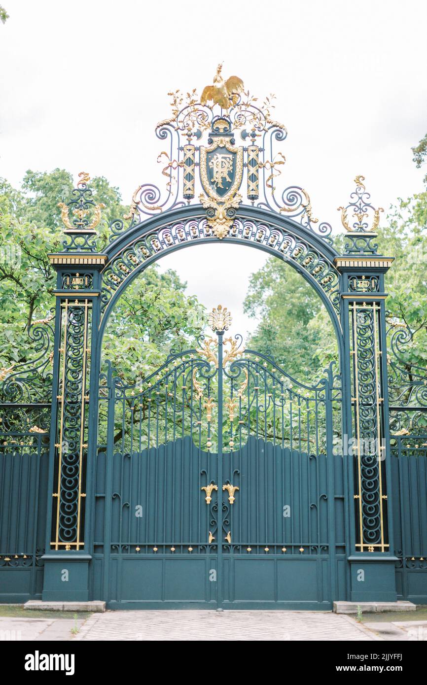 Verde scuro e porta d'oro ornamentale a Parigi, Francia Foto Stock