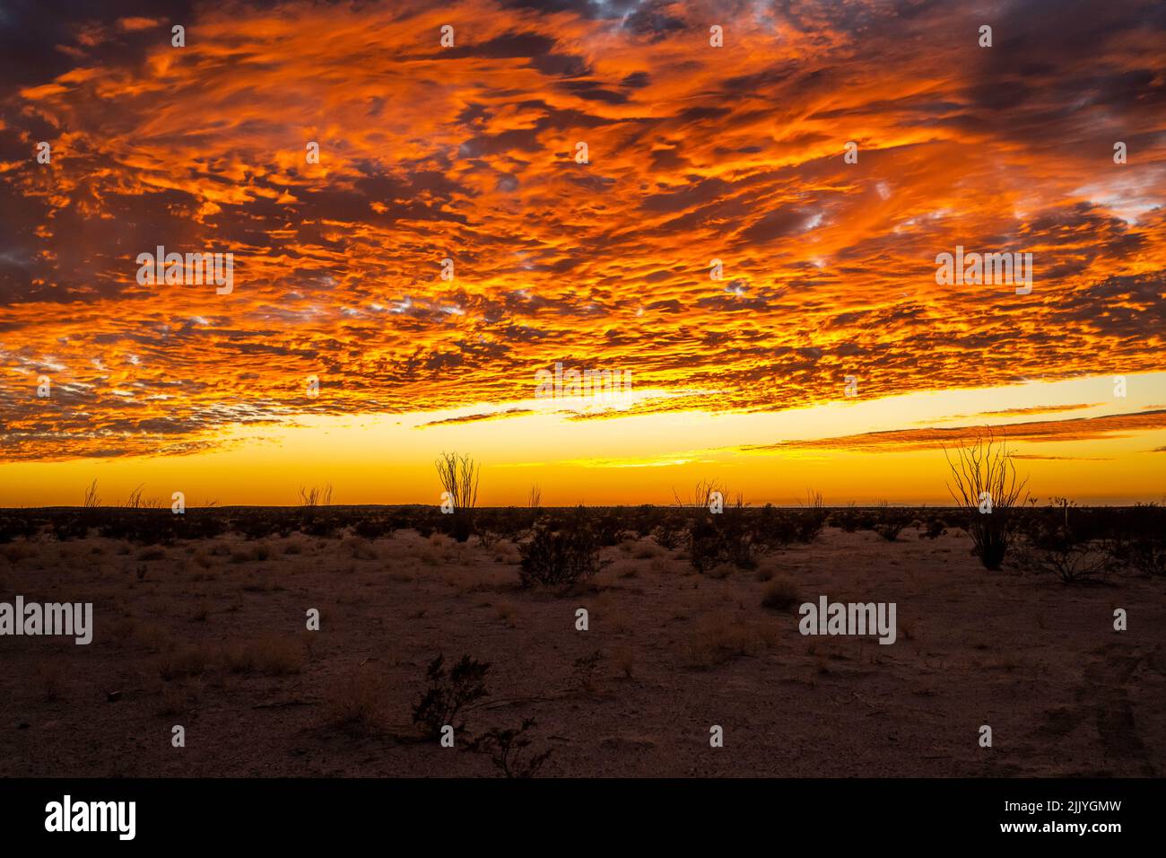 Drammatico tramonto vibrante paesaggio Yuma, Arizona Foto Stock