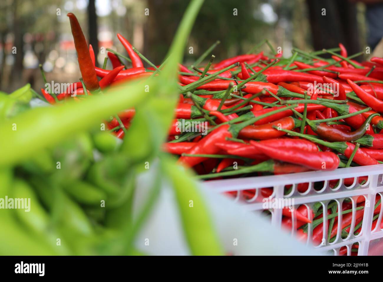 peperoncini esposti all'interno di una cassa in un mercato Foto Stock