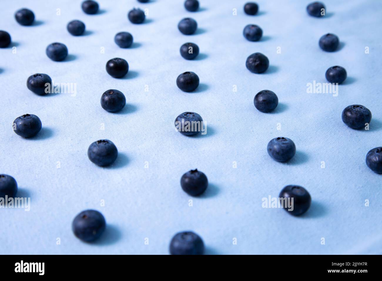 I mirtilli si trovano in fila su sfondo blu Foto Stock