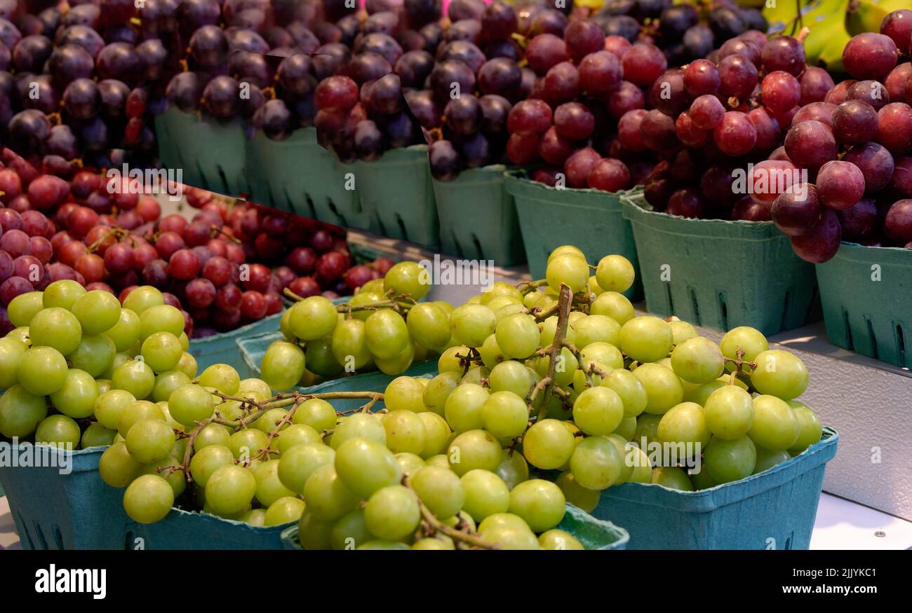 Uva in un mercato agricolo Foto Stock