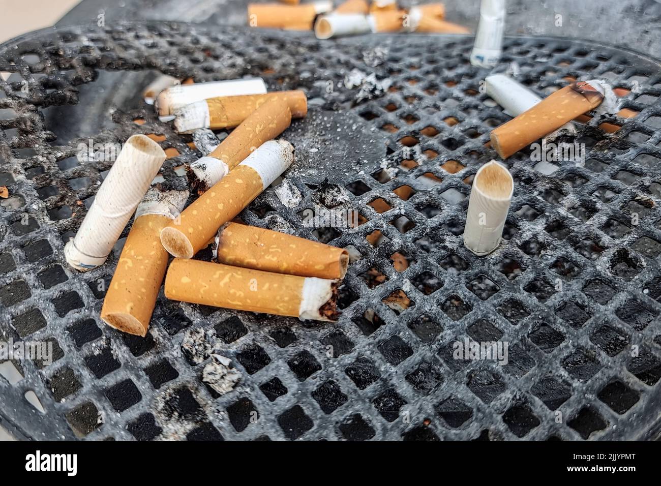 I mozziconi di sigaretta si sono schiacciati su un bidone di scarto del tabacco, dipendenza dal fumo, stile di vita malsano Foto Stock